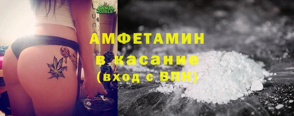 индика Ельня