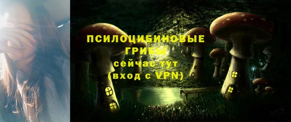 бошки Пестово