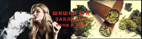 индика Ельня