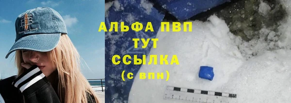 индика Ельня