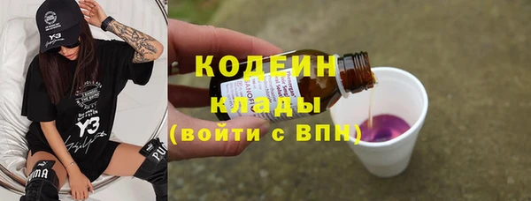 индика Ельня