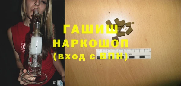 индика Ельня