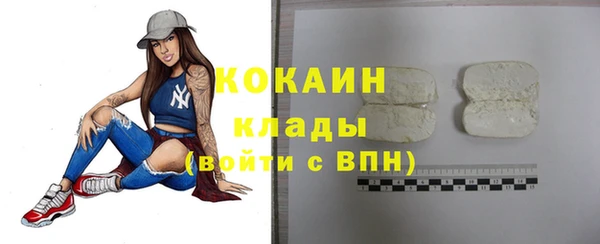 МДПВ Елизово