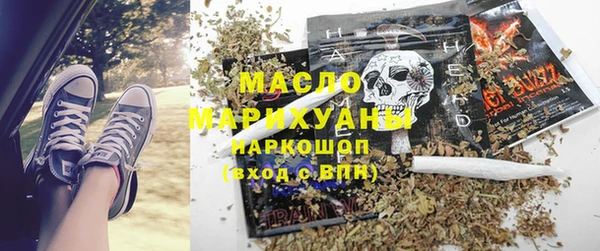 индика Ельня