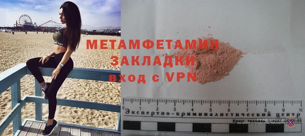 индика Ельня