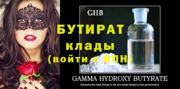 индика Ельня
