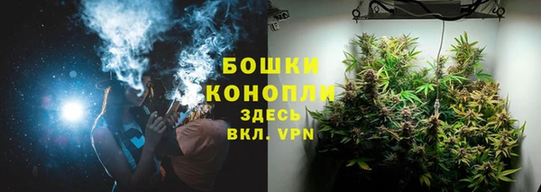 МДПВ Елизово