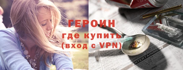 индика Ельня