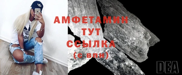 индика Ельня